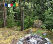 Mountain Ocean View Surrounded by Habitat
