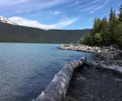 Renfro's Lakeside Retreat - Cabin 5