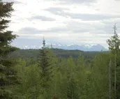 Prosperity Cabin - Kenai River Soaring Eagle Lodge And Cabins