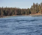 Prosperity Cabin - Kenai River Soaring Eagle Lodge And Cabins