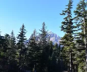 Enjoy this Newly Constructed Luxury Suite surrounded by Alaska's Natural Beauty