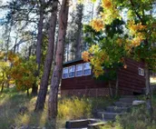 Cozy cabin in the woods