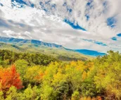 Owner Managed Star Dancer Cabin - Best Views You Can Get! Theater Arcade Hot Tub