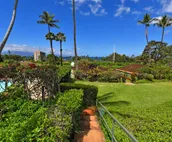 West Maui Welcomes You Back October ICC 20 Remodeled Hawaiian 2BD Cottage w Pool