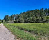 NEW! Heart of Black Hills Home by Mickelson Trail!
