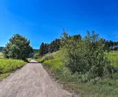 NEW! Heart of Black Hills Home by Mickelson Trail!