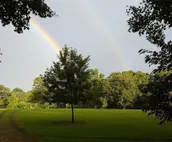 Firefly Cabin 2 in Southwest Mississippi