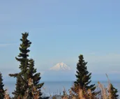 Tranquility Cabin at Kenai Rver Soaring Eagle Lodge and Cabins