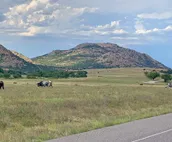 5 Cabins at The Lazy Buffalo, Sleeps 16 Wichita Mountains Cache Lawton Fort Sill