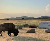 5 Cabins at The Lazy Buffalo, Sleeps 16 Wichita Mountains Cache Lawton Fort Sill
