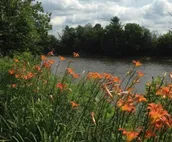 Tentrr Signature Site - Missisquoi Magic