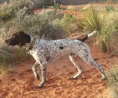 🏜️Local VIEW🐶Pet Friendly🚤BOAT Parking~AntelopeCanyon~HorseshoeBend 7-12 min