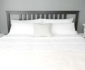 Spacious 2BR Farmhouse with work desk & W/D