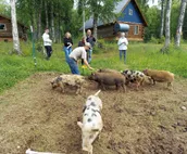 The Reindeer Grove: Large Groups, Families, Retreats!