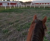 Enjoy a Stay at a Horse Motel in York, NE