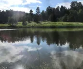 Exclusive,Prisitne, Close to Deadwwod,Sturgis,Spearfish,20 acres, Pets Welcome.
