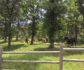 Exclusive,Prisitne, Close to Deadwwod,Sturgis,Spearfish,20 acres, Pets Welcome.