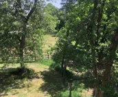 Exclusive,Prisitne, Close to Deadwwod,Sturgis,Spearfish,20 acres, Pets Welcome.