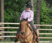 Exclusive,Prisitne, Close to Deadwwod,Sturgis,Spearfish,20 acres, Pets Welcome.