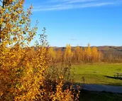 Chez Benz Cabin near Harding Lake State Recreation Area.