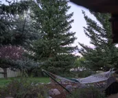 The Yellowstone Cabin