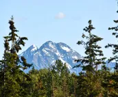 Legacy Mountain Lodge on 40-Acre Ranch w/ Views!
