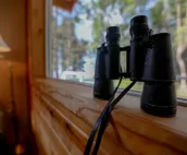 Cozy Waterfront Cabin, Central Kenai - Alaskan Sunset Cabins: 'Cape Kasilof'