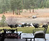 Bitterroot’s Best Views & Outdoor Adventures at Mill Creek 22 Acre Luxury Lodge