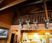 Lakeside Log Cabin
Wedding Venue • Hunting • Fishing