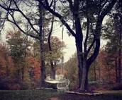 Lakeside Log Cabin
Wedding Venue • Hunting • Fishing
