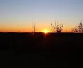 Tentrr Signature Site - Tall Timber Campground