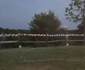 Tentrr Signature Site - Tall Timber Campground