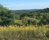 Tentrr Signature Site - Tall Timber Campground