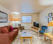 Spacious townhouse with ski & mountain views, deck, grill, & fireplace