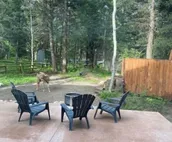 Longhorn Hideaway: Pet Friendly, Near Ponderosa Park, Quiet Wooded Neighborhood