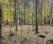Luxurious Two-Story Treehouse | Minutes from Lake Sunapee | Peaceful