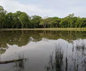 Hidden cabin on private FORTY ACRE woods with 3 bedrooms, near beach and marina!