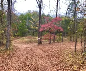 Amazing Lake Front Property!!! 3 BR cabin on 30 serene acres on Lake Tenkiller