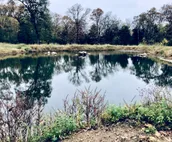 Amazing Lake Front Property!!! 3 BR cabin on 30 serene acres on Lake Tenkiller