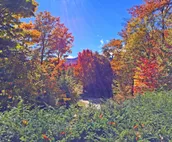 Killington Cabin - Left Unit: Great for families, Cozy, Close to Mountain. Ho...