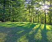 Killington Cabin - Left Unit: Great for families, Cozy, Close to Mountain. Ho...