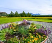 Revival Acres: Historic Farmhouse on 5 Acres w/Stunning Mountain Views