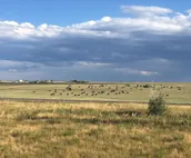 Close - in Rural Studio - Great Star-gazing!