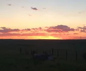 Close - in Rural Studio - Great Star-gazing!