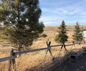 Close - in Rural Studio - Great Star-gazing!