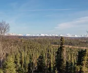 Private Lodging on 12 Acres with Kenai Mountain Views