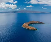 West Maui Welcomes You Back October KA 111 Remodeled OceanFront 1BD w Ocean View