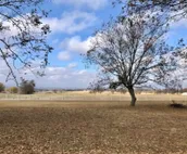 Primrose Farmhouse (Near Turner Falls)