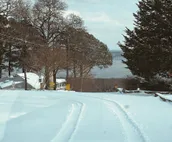 Wind Ridge Cabin at Lake Tenkiller Sleeps 16