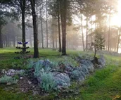 The Bears Den Dakota Dream B&B. Secluded, Close to Custer, Great Breakfast!